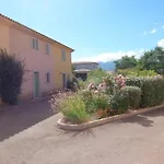 Cedrat