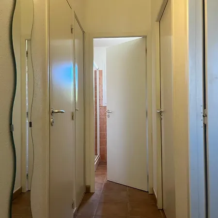 Cedrat Villa Porto-Vecchio (Corsica)