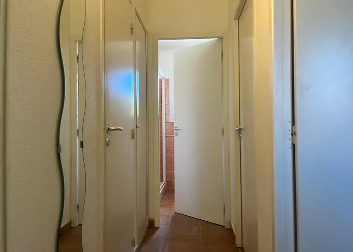 Cedrat Villa Porto-Vecchio (Corsica)